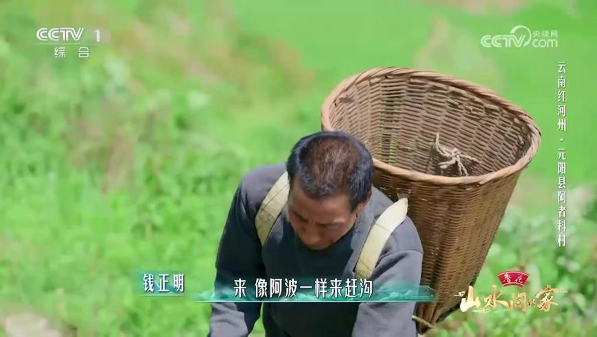 哪吒2若卖95亿饺子至少分1.35亿,香港正版挂牌资料全篇+完整篇2025,全面解答解释落实_精英版V13.13