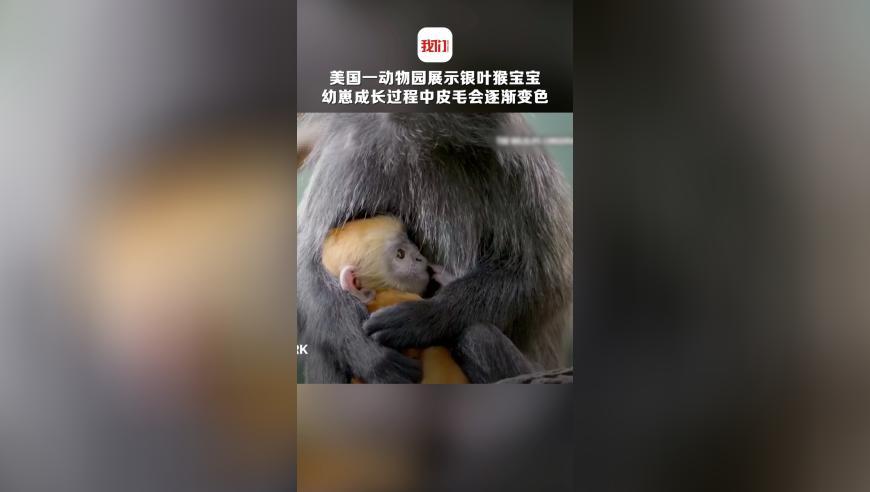 女子在其父亲墓前割腕轻生 民警救人,管家婆一码一肖资料大全i,公开决策资料解释落实_内测版V4.21